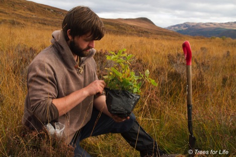 Volunteer planting trees at Dundreggan
